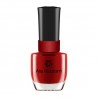 ESMALTE ANA HICKMANN 9ML - 25  ENTRA NA RODA