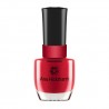 ESMALTE ANA HICKMANN 9ML - 34  VERMELHO AMOR